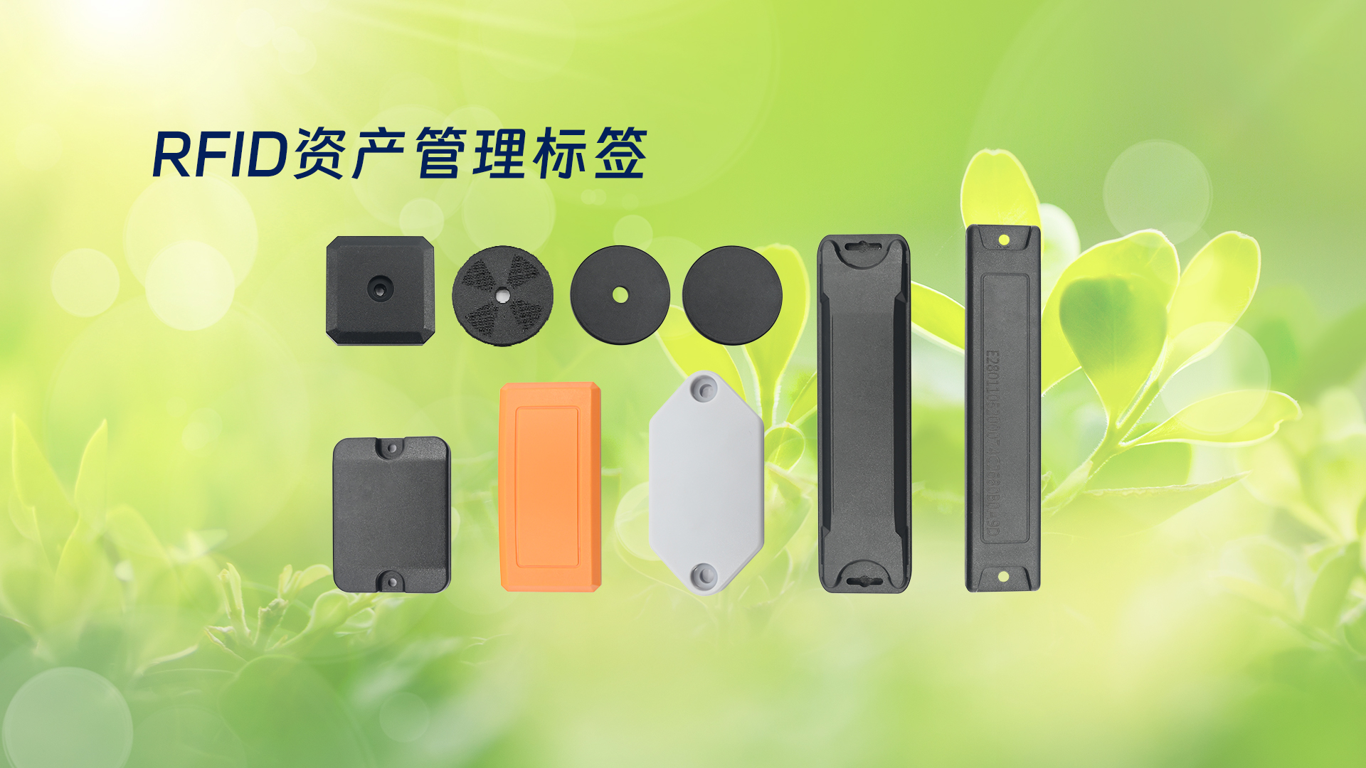 微信图片_20250319134926